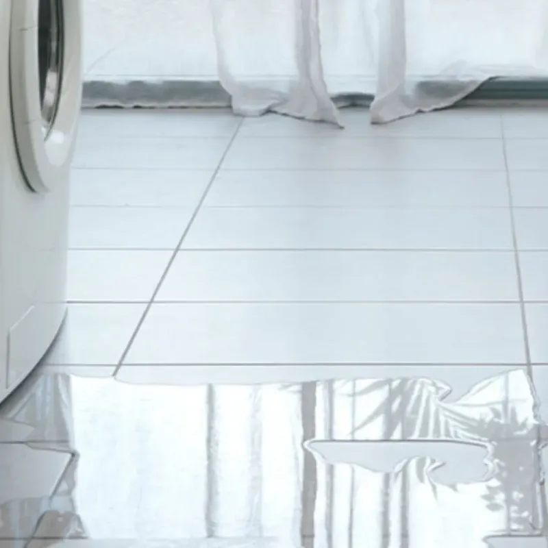 Appliance Leak Cleanup in Covington, LA